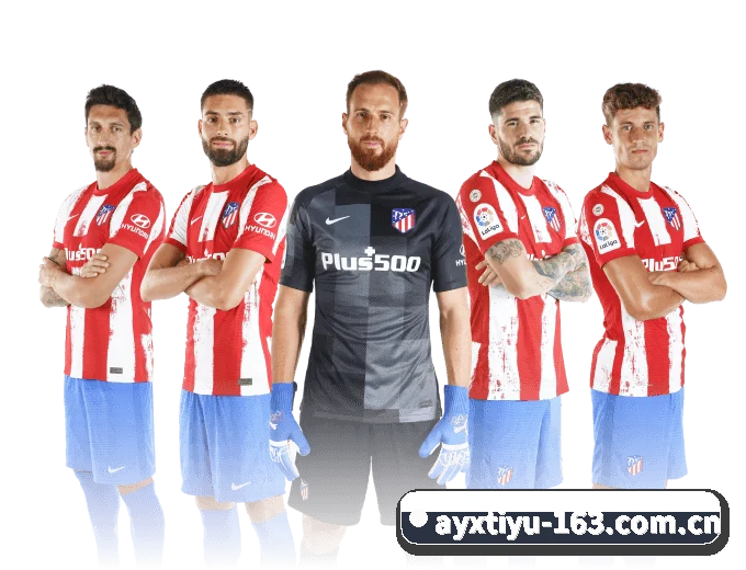 关于我们 - 体育资讯内容服务 - ayx.com